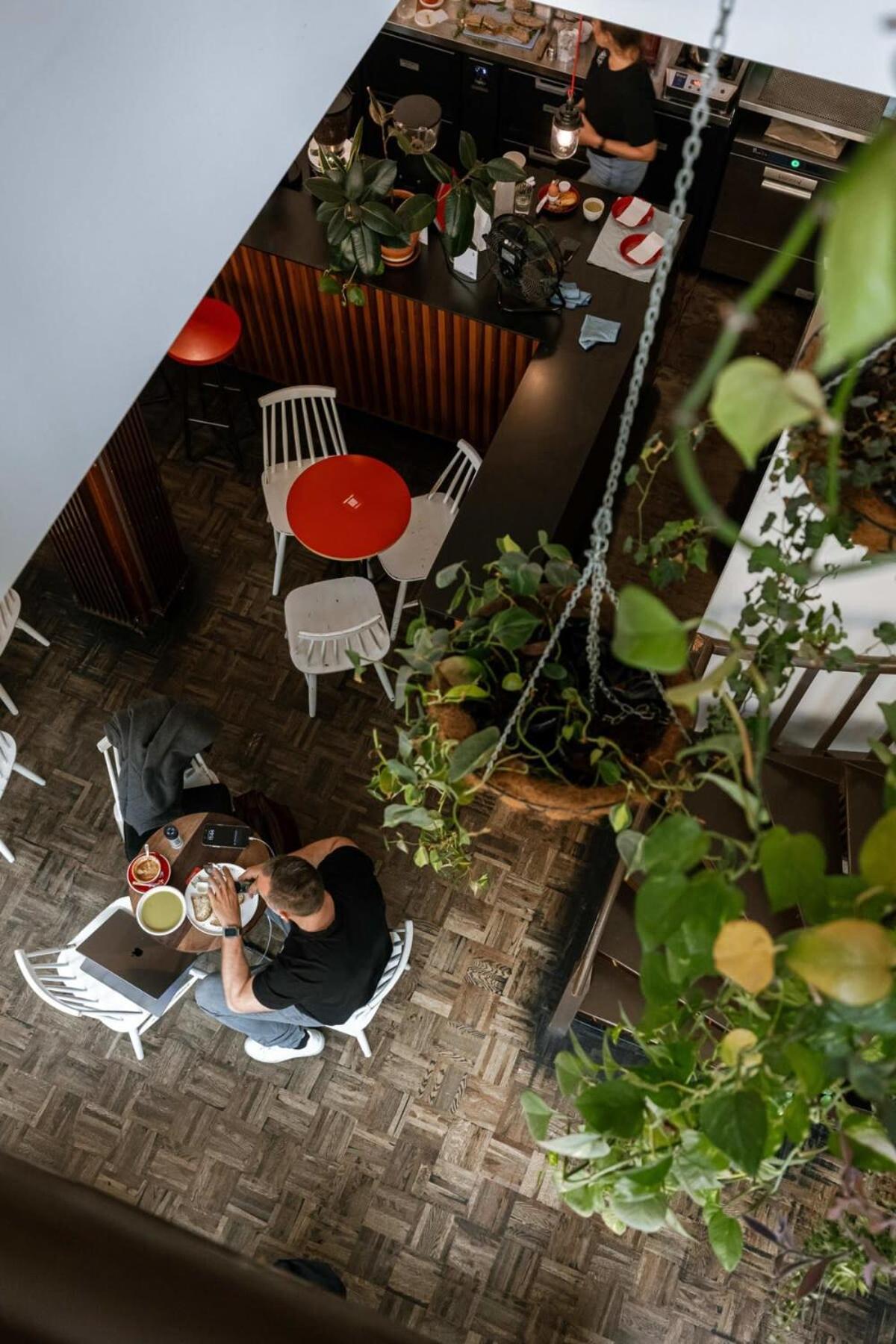 Huswell - The Jungle' In The Heart Of Appartement