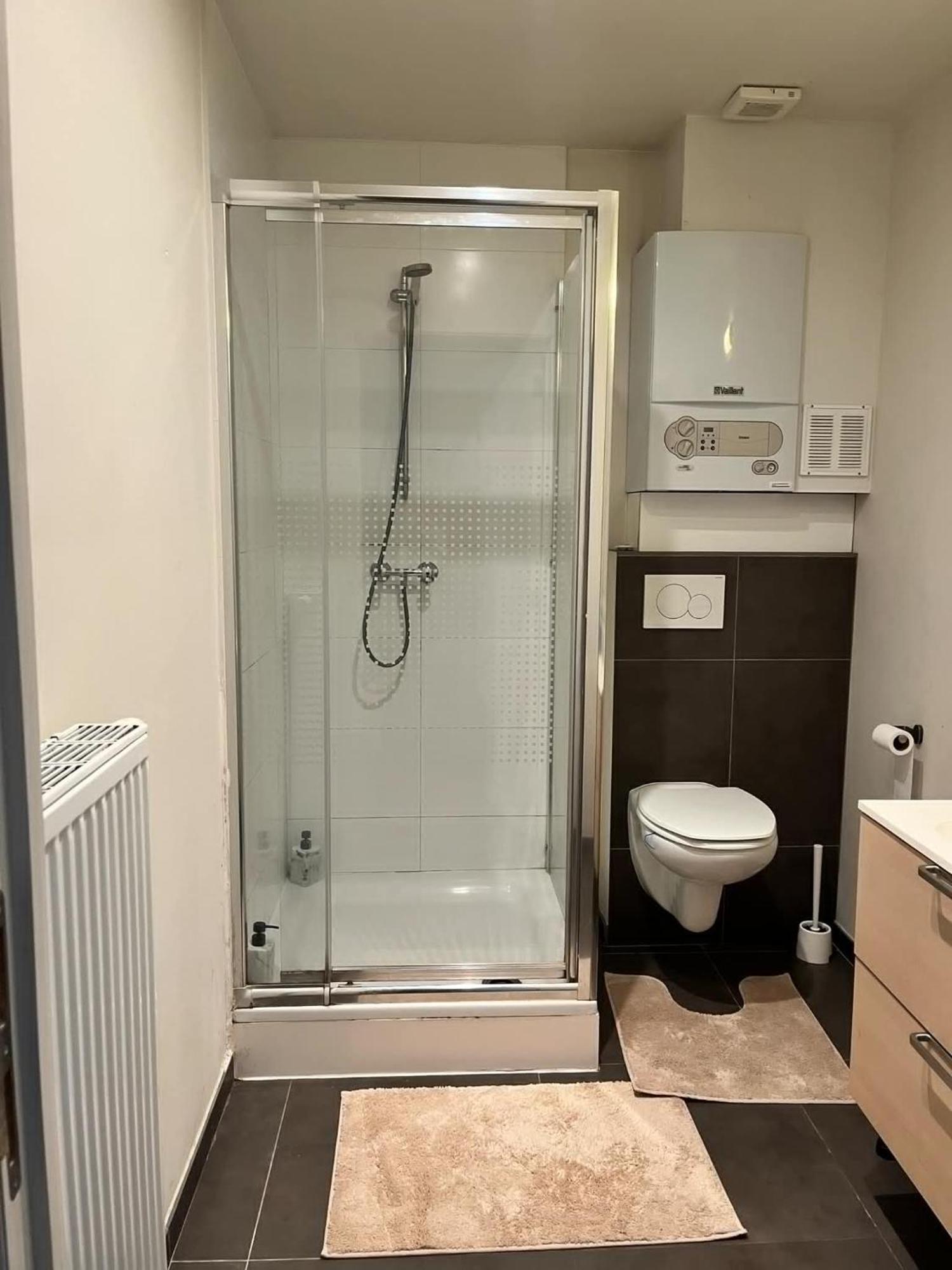 Hyppolite Metdepenningenstraat G Apartment Ghent