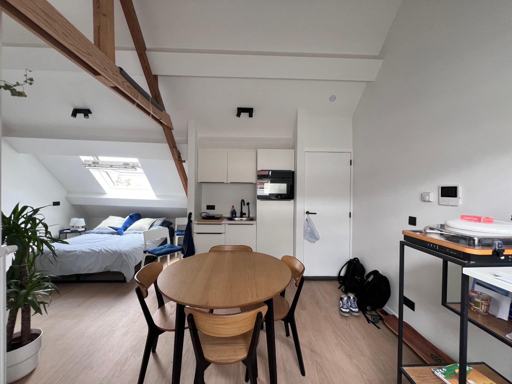Laurent - Gitoo Apartment Ghent