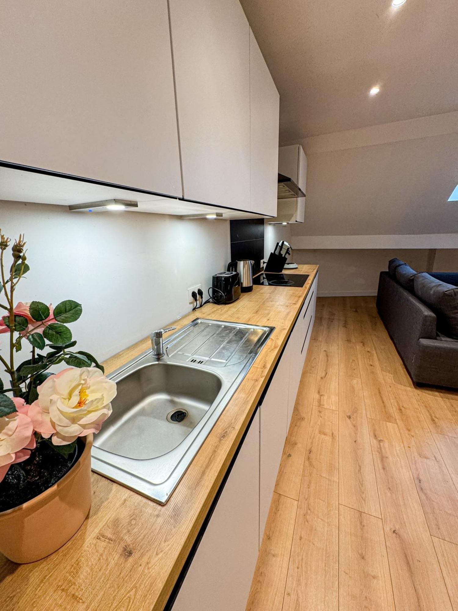 Chic & Modern 1br & 1lr Apt, 12 Min Walk To Rabot Appartement Gent