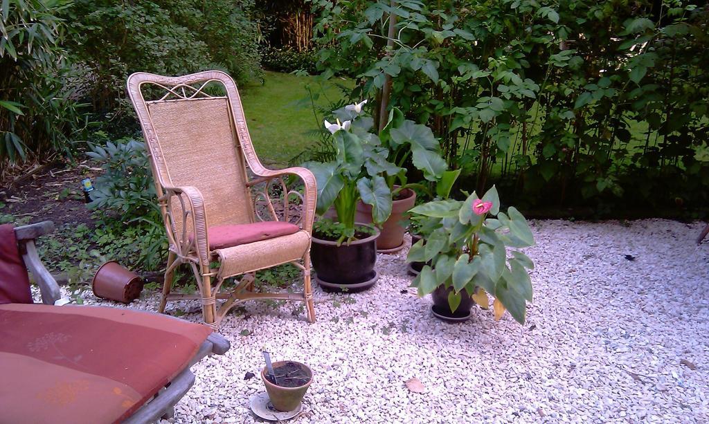 The Aum-house Bed & Breakfast *