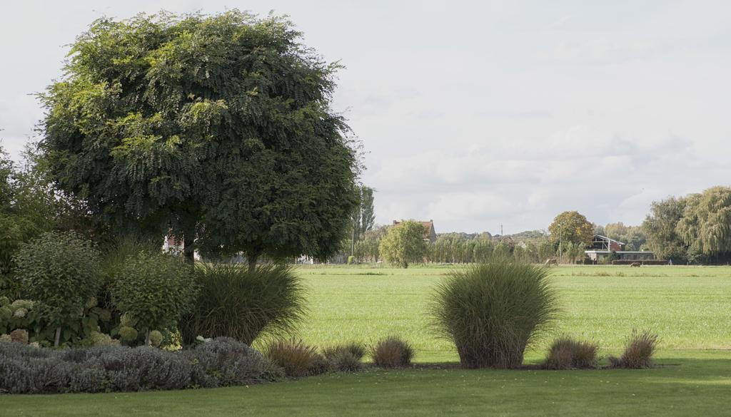Bed & Breakfast Au Grenier