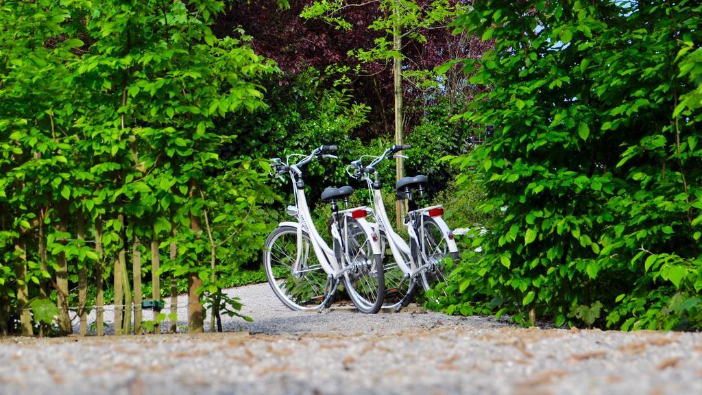 Bed & Breakfast Marcel De Business & Travel Ghent