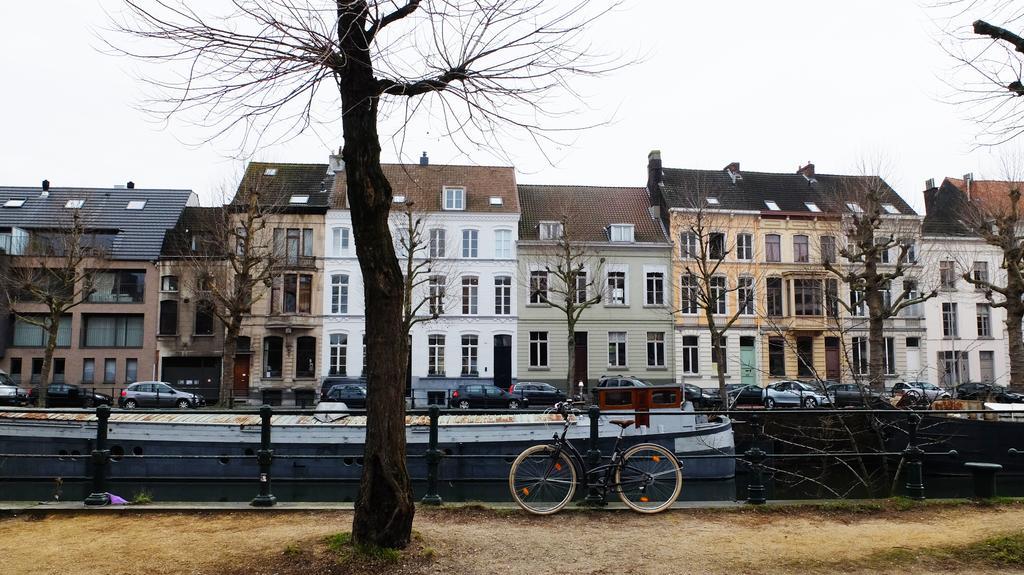 Vakantiehuis 1,2,trois...le Roi