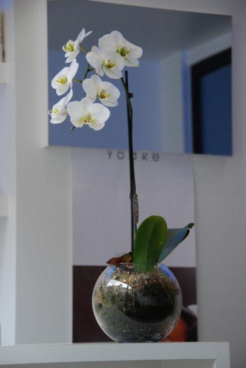 Guest house Azur Beauty & Wellness Ghent