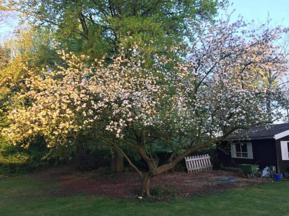 Rose House