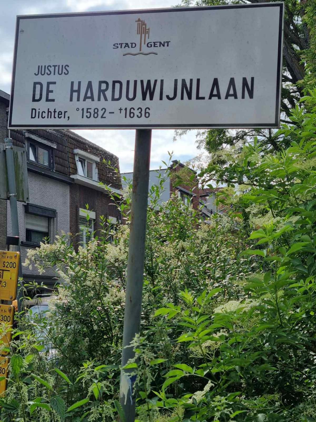 Djulia *