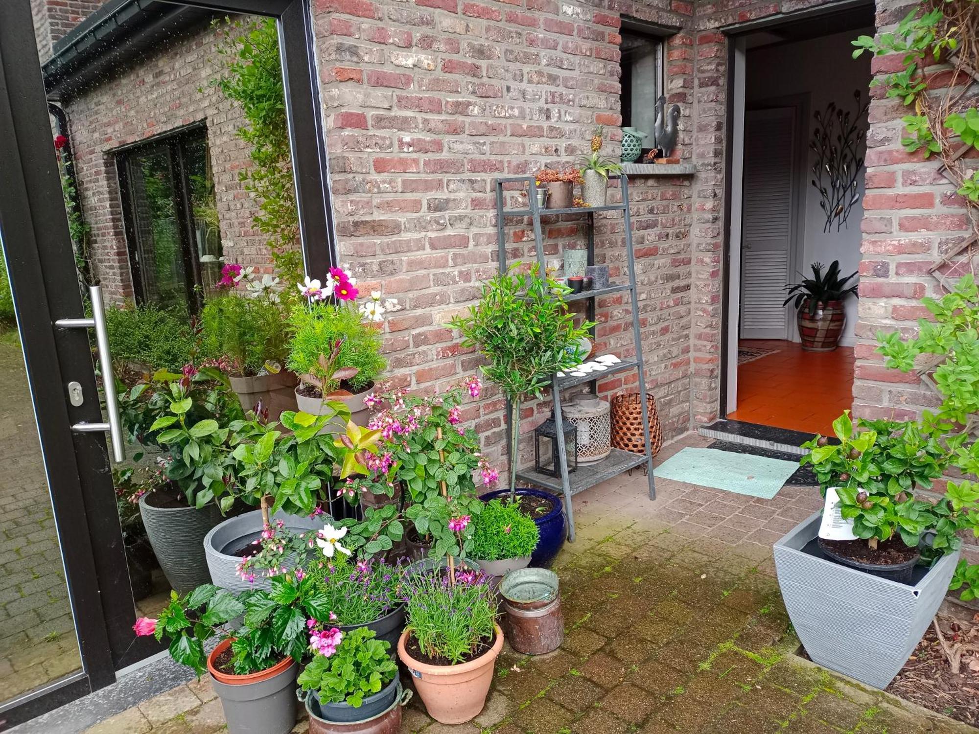 Homestay Efes Ghent